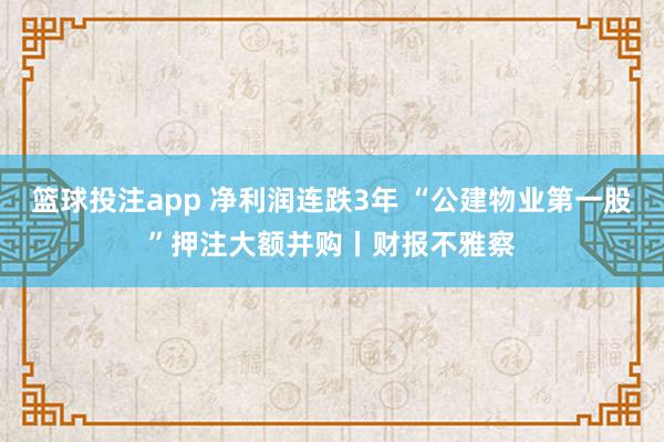 篮球投注app 净利润连跌3年 “公建物业第一股”押注大额并购丨财报不雅察