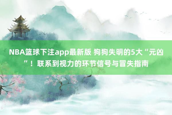 NBA篮球下注app最新版 狗狗失明的5大“元凶”！联系到视力的环节信号与冒失指南