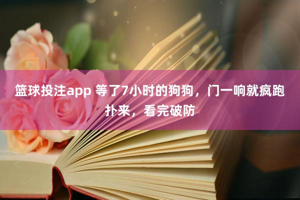 篮球投注app 等了7小时的狗狗，门一响就疯跑扑来，看完破防