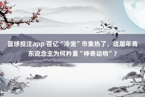 篮球投注app 百亿“冷宠”市集热了，这届年青东说念主为何矜重“神奇动物”？