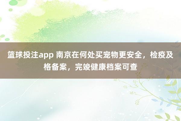 篮球投注app 南京在何处买宠物更安全，检疫及格备案，完竣健康档案可查