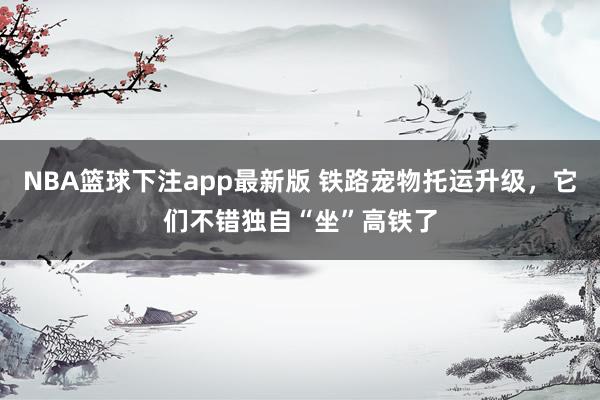 NBA篮球下注app最新版 铁路宠物托运升级，它们不错独自“坐”高铁了