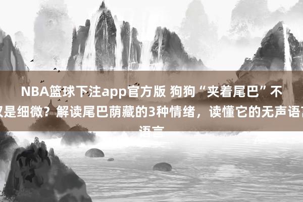 NBA篮球下注app官方版 狗狗“夹着尾巴”不仅是细微？解读尾巴荫藏的3种情绪，读懂它的无声语言