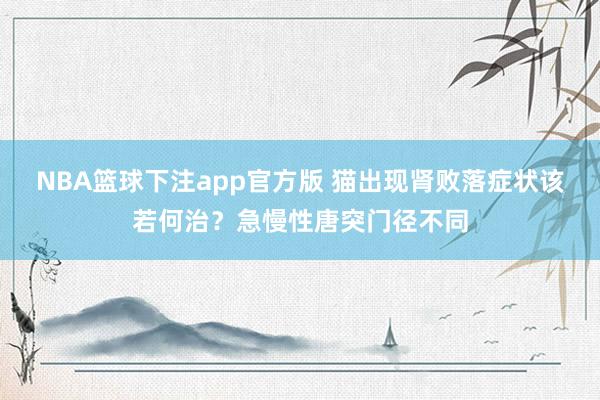 NBA篮球下注app官方版 猫出现肾败落症状该若何治？急慢性唐突门径不同