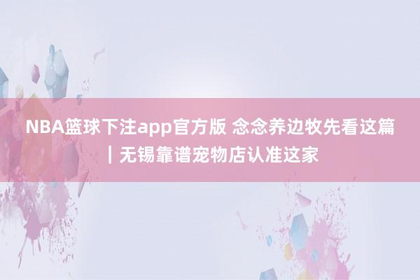NBA篮球下注app官方版 念念养边牧先看这篇｜无锡靠谱宠物店认准这家