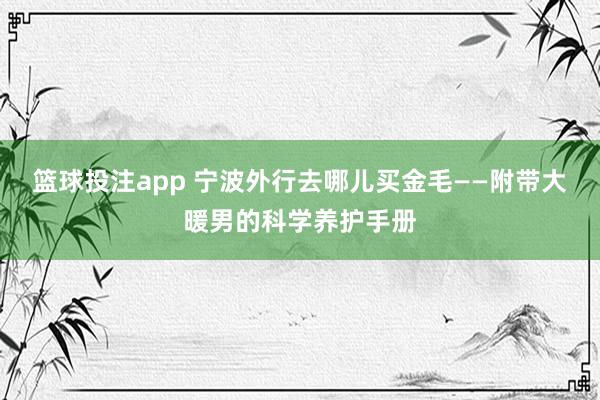 篮球投注app 宁波外行去哪儿买金毛——附带大暖男的科学养护手册
