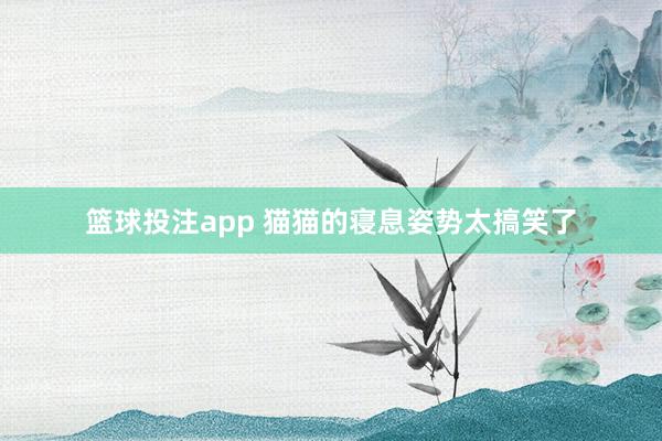 篮球投注app 猫猫的寝息姿势太搞笑了