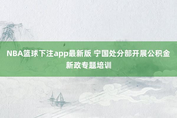 NBA篮球下注app最新版 宁国处分部开展公积金新政专题培训