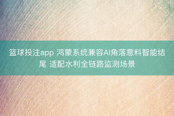篮球投注app 鸿蒙系统兼容AI角落意料智能结尾 适配水利全链路监测场景